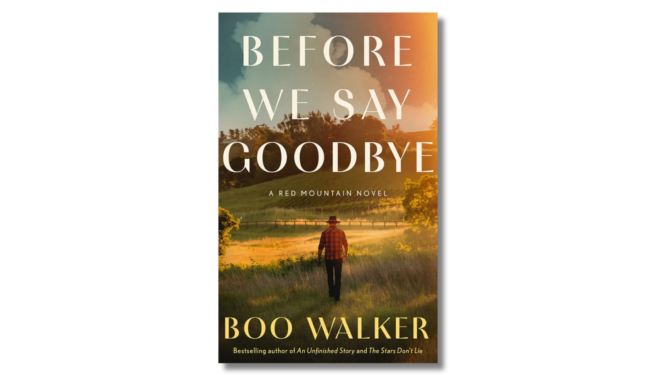 Book Review: “Before We Say Goodbye” by Boo Walker
